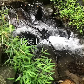 残暑の画像