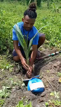 第二農園への植林が始まります！！の記事動画