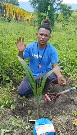 第二農園への植林が始まります！！の記事動画