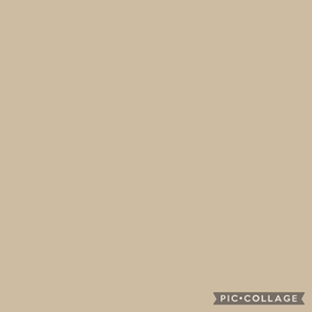 わんこが天国への画像