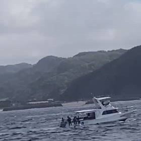 推しのLIVE終わりに奄美大島満喫‼️の画像