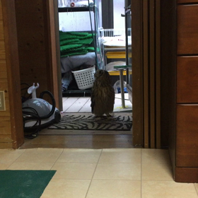 賢いらん丸くんの画像