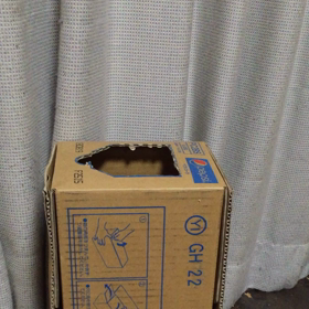 てんちゃんたたきの画像
