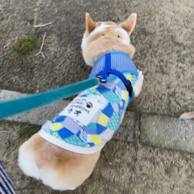 定期検診の画像