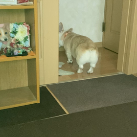 毎日がリハビリの画像