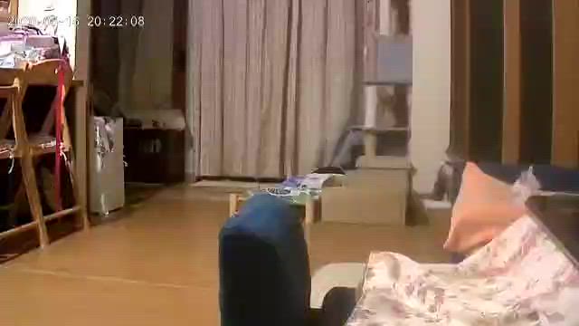 またもや震度5弱を記録した宮城県登米市の記事動画