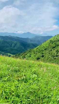 山頂はお花畑♡ 大盛山と飯盛山への記事動画