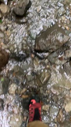 貴重な涼しい日！と思ったら蒸し風呂だった高尾山と逗子の披露山への記事動画