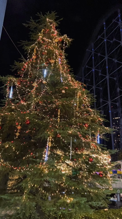 2022/12/25 Merry Xmas！の記事動画
