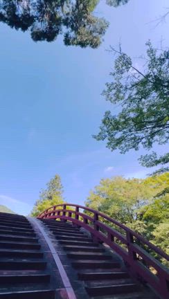 ”じゅり❣️おかえり❣️”の記事動画