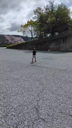 日本での習い事はの記事動画