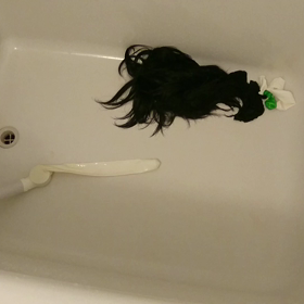 意味もなくワ～イルドラ～イフ∟(￣(工)￣)ノ！の画像
