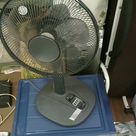 お疲れ様でワ～イルドラ～イフ∟(￣(工)￣)ノ！の画像