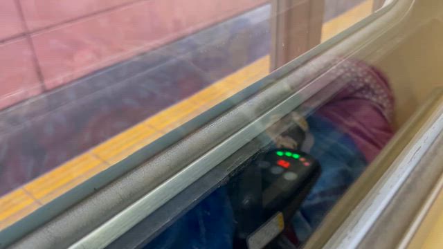 ２０２６年４月２３日（木曜日）の天使猫。。。。　４　『新しい千葉公園』に感動した！！！！の記事動画