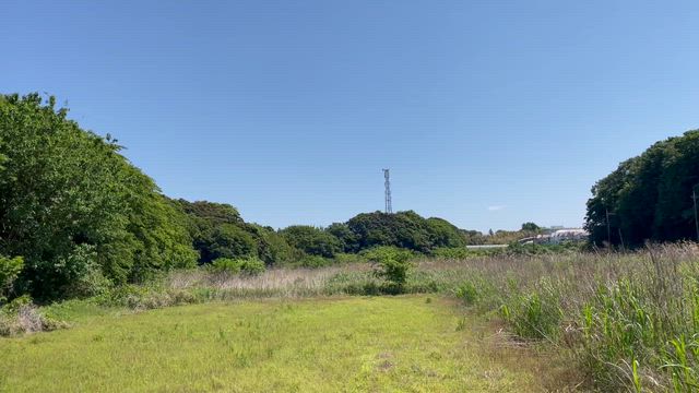 ２０２６年５月１１日（月曜日）の天使猫。。。。　２　昨日の御講！！！！の記事動画