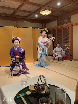 舞妓さんとのお遊び2の記事動画