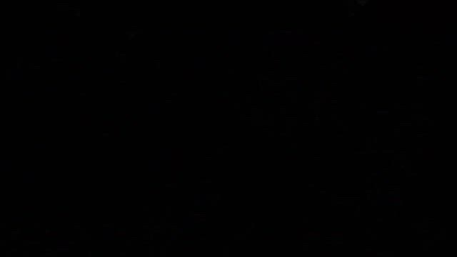 《ハナとつきの》の記事動画