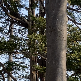 なんか違ったら選び直せばいいの画像