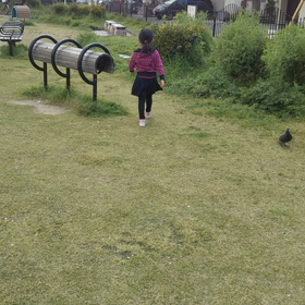 公園の画像
