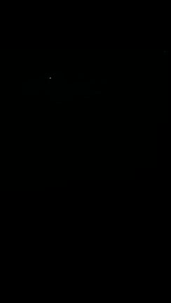 主夫のまいにち　結果的にフライングだったけどゲンジに逢いにの記事動画