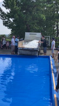主夫のまいにち　串本イベントその②鮎のつかみどりの記事動画