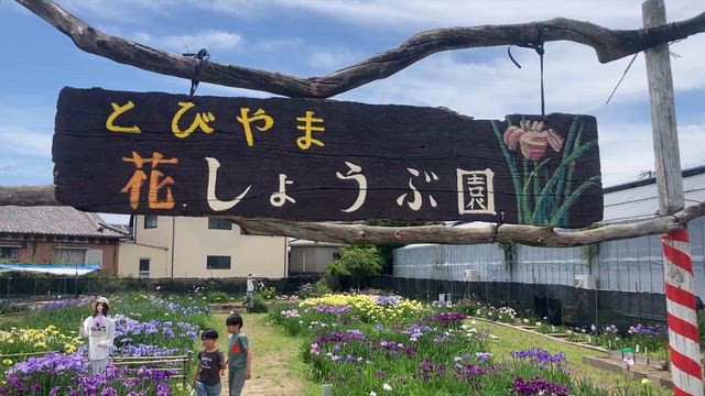 主夫のまいにち　諸先輩方に紹介したら喜ばれたの記事動画