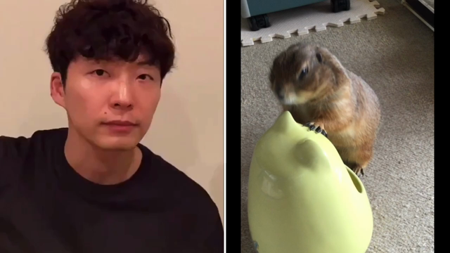 今だから聴きたいコラボの記事動画