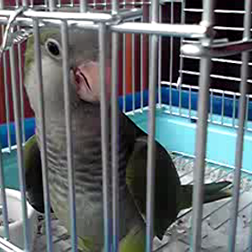 動画。。。♪      アオちゃん編☆の画像