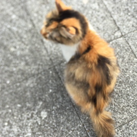 2016/01/11の画像