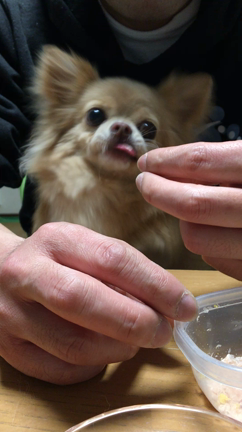 ミルクさぁ〜んの記事動画