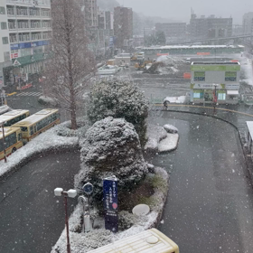 積雪の画像