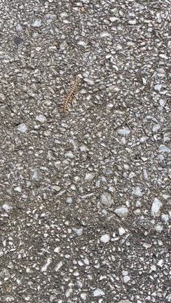 もう会いたくない(⚲□⚲)の記事動画
