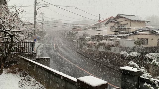 今日から初売りですの記事動画