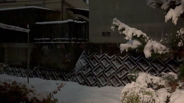 今日から初売りですの記事動画