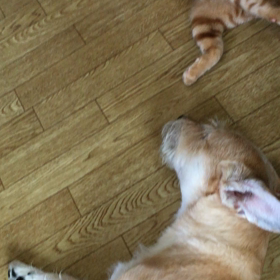 とても仲良しの画像