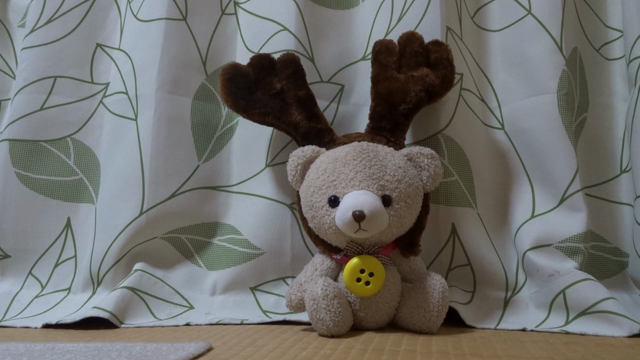 メリークリスマス！クリスマスがやってきた！の記事動画