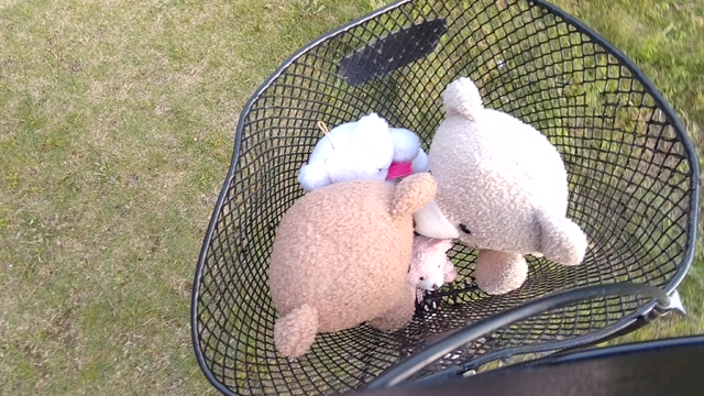 １７ライト交換と試乗会 おじいちゃんの自転車の記事動画