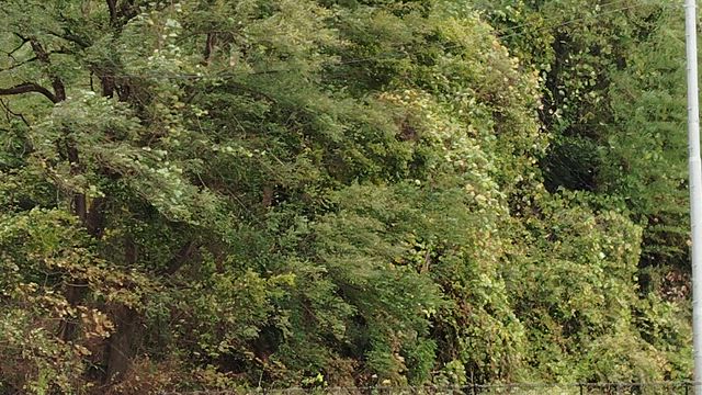 からっ風1号？の記事動画