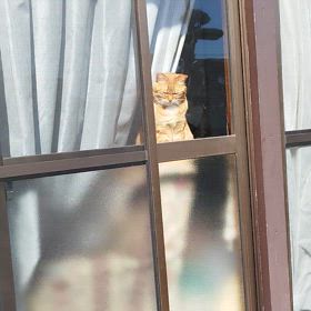 風の強い日は踏ん張れず立ってるの厳しいです…の画像
