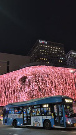 11月の韓国旅行〜明洞散策の記事動画