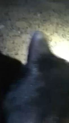 さまよう心〜似てる❗️の記事動画