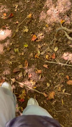 旧千円札の富士山に会いにの記事動画
