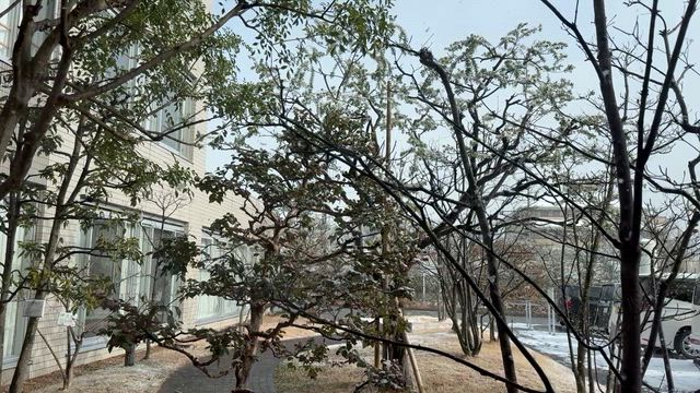 雪空の記事動画
