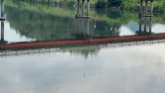 静かな時間（とき）の記事動画