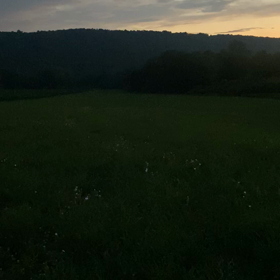 幻想的な世界❤️の画像