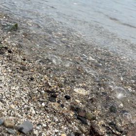 海辺の画像