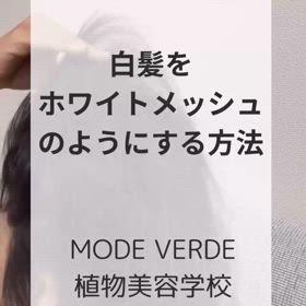 2024/10/16の画像