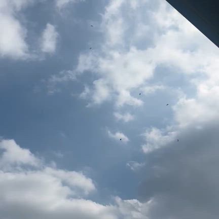 平和の記事動画