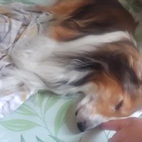 １６歳４ヶ月と１４日の画像