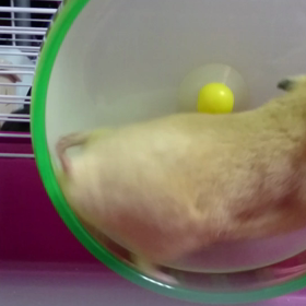騒音の画像